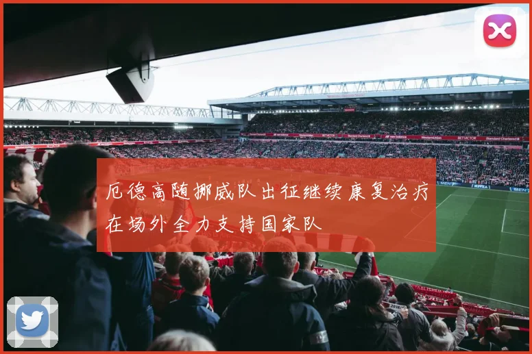 厄德高随挪威队出征继续康复治疗在场外全力支持国家队