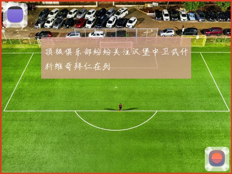 顶级俱乐部纷纷关注汉堡中卫武什科维奇拜仁在列