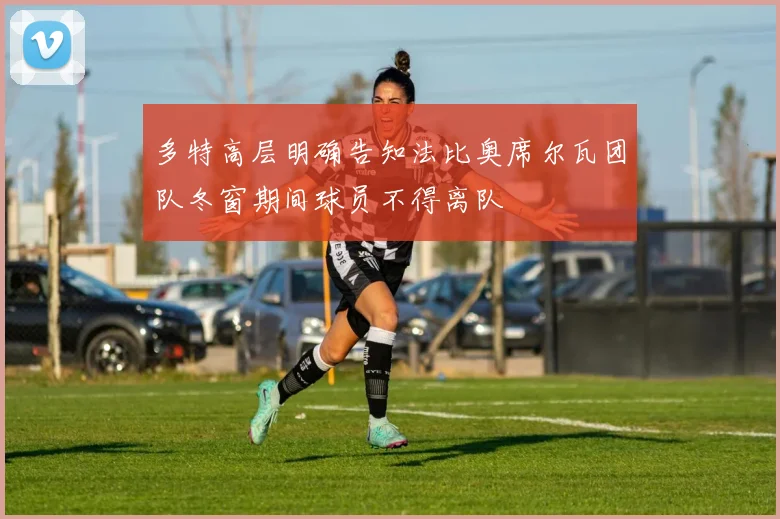 多特高层明确告知法比奥席尔瓦团队冬窗期间球员不得离队