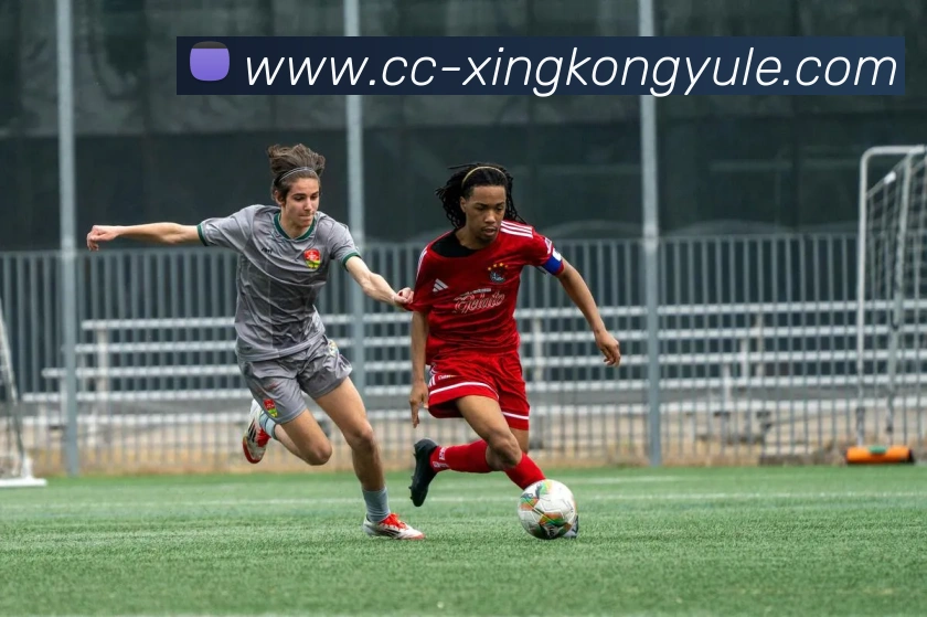 星空娱乐平台生态图