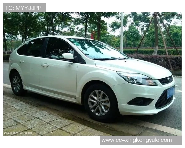 福克斯独领风骚带队取胜展现出超凡价值与领导力